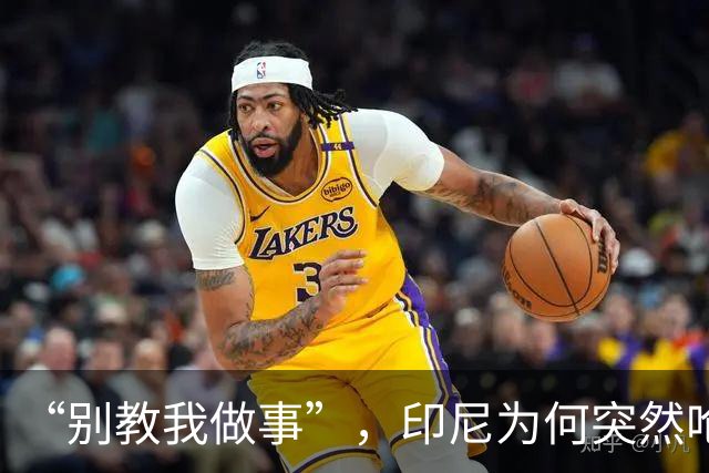 “别教我做事”，印尼为何突然呛声新加坡？
