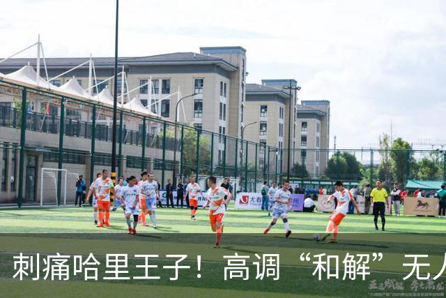 刺痛哈里王子！高调“和解”无人应答，查尔斯威廉同框显父子情深