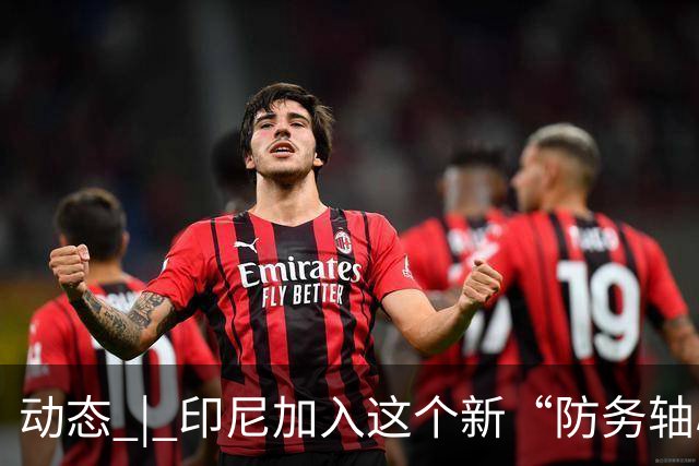 动态 | 印尼加入这个新“防务轴心”，印度深感恐慌！