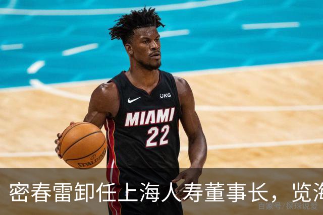 密春雷卸任上海人寿董事长，览海系核心保险平台迎来人事更迭