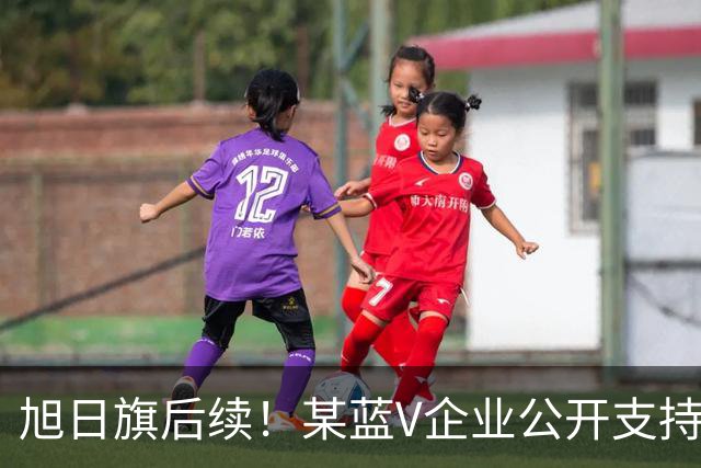旭日旗后续！某蓝V企业公开支持“一起披”, 注销账号不是免罪金牌