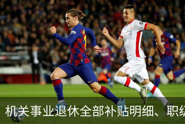 机关事业退休全部补贴明细、职级、年龄、标准一次性讲清楚