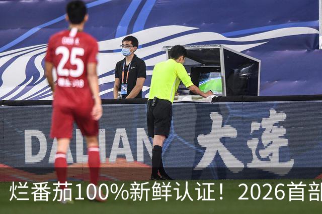 烂番茄100%新鲜认证！2026首部
