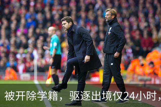 被开除学籍，驱逐出境仅24小时，陈某再迎三大"噩耗" 个个直戳心窝